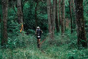 BIB: 
                            <button type="button" onclick="openModal(25236757)" class="btn btn-primary btn-sm float-right btn-popup" data-toggle="modal" data-target=".modal-high-quality">
                        <i class="fas fa-shopping-cart"></i> Add to Cart
                    </button>
                                            <button type="button" onclick="isThisMe(25236757, true)" class="btn btn-success btn-sm float-right btn-popup btn-isme hidden" data-toggle="tooltip" data-placement="bottom" title="นี่คือรูปของคุณใช่ไหม คลิกที่นี่เพื่อเอาเข้าอัลบั้ม">
                        <i class="fas fa-plus"></i> Add to album
                    </button>
                    <button type="button" onclick="isThisMe(25236757, false)" class="btn btn-warning btn-sm float-right btn-popup btn-isnotme hidden">
                        <i class="fas fa-ban"></i> Remove from album
                    </button>